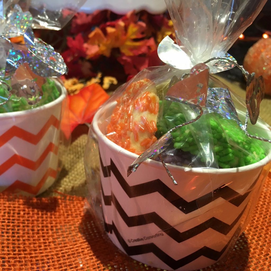 Trick or Treat Package
